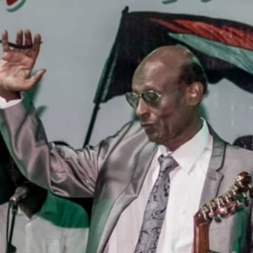 الموسيقار محمد الأمين - طائشة الضفائر   - عود
