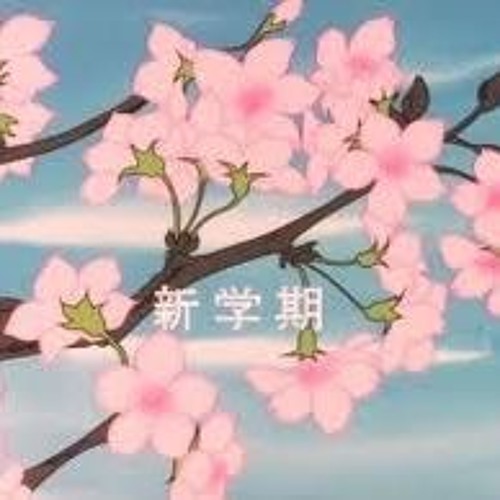 【❝ мyѕтιc мeѕѕage? ❞】