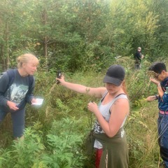 Reaching Into The Matrix