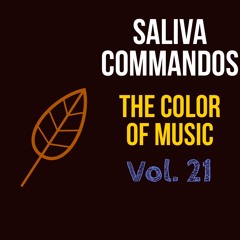 The Color Of Music Vol. 21