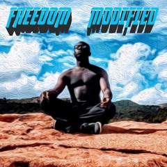 FREEDOM MODIFIED(LP) -  DJ GRAViTii MIX