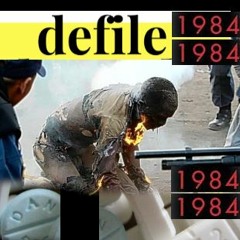 why did you steal my hot pocket f4660t