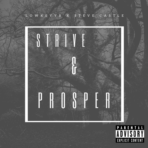 Strive & Prosper Lowkeyyb x $teve Castle Prod. MiiiKXY