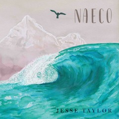 Jesse Taylor - How To Feel Again