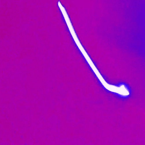 Everybodyfreeze  - TargetxSparks