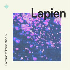 Patterns of Perception 53 - Lapien