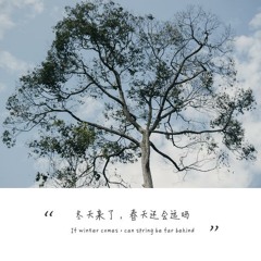 Đông đến rồi, xuân còn bao xa? - Trâu Niệm Từ | 冬天来了，春天还会远吗 - 邹念慈