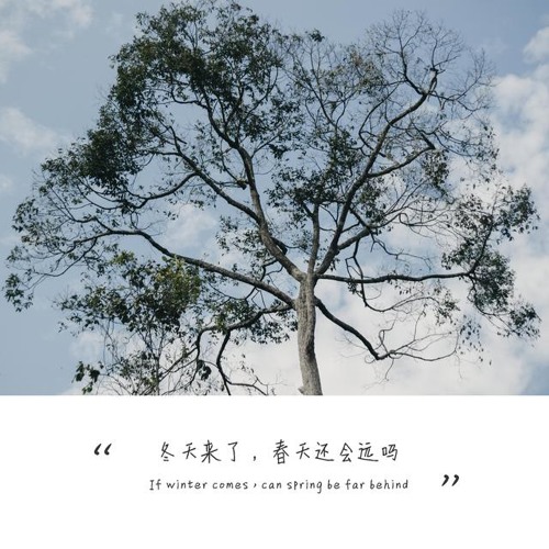 Đông đến rồi, xuân còn bao xa? - Trâu Niệm Từ | 冬天来了，春天还会远吗 - 邹念慈