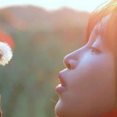Liziqi Music #8 | 妙音天成 - 宫商阙  (李子柒)