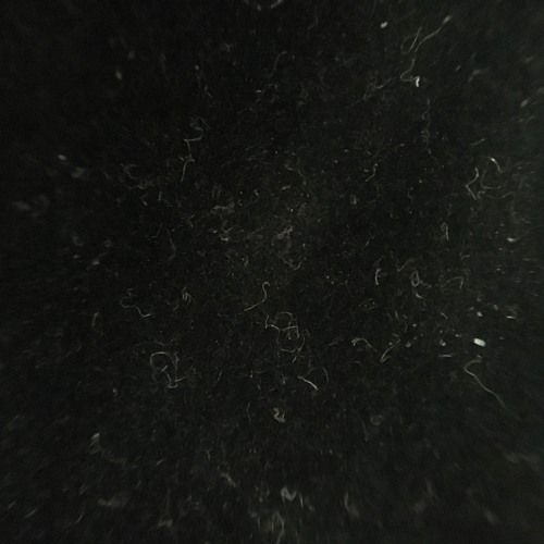 Chris Staples - Hold Onto Something (Saca Dat Edit)