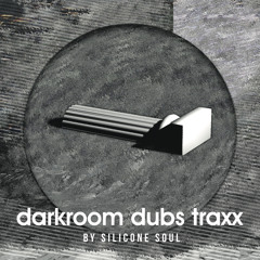 PRÉMIÈRE: Silicone Soul - Fahrenheit 625 (Theus Mago & Id!r Remix)[Darkroom Dubs]
