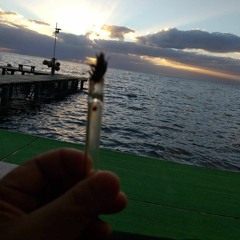 STICK FIGURE MX BASS 2019