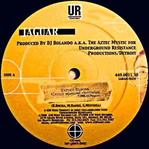 【激レア盤】DJRolando／The Aztec Mystic／Jaguar Stream DJ Rolando A.K.A The Aztec Mystic - Jaguar (COBLE