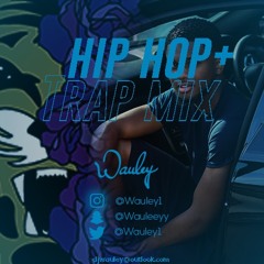 DJ Wauley | Hip Hop + Trap Mix 2019 @wauley