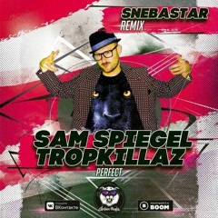 Sam Spiegel & Tropkillaz - Perfect (SNEBASTAR Remix)(Radio Edit)