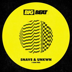 Snavs & UNKWN - I Can Feel