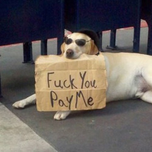 F*ck You, Pay Me (Prod. xxkx)