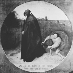 The Most Dangerous Animal Of All