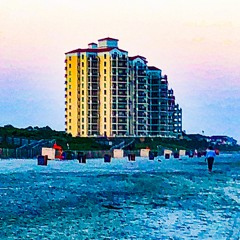 Beachshire Majesty