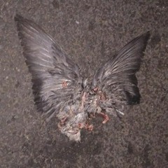 Dead Pigeon w/decentdecent