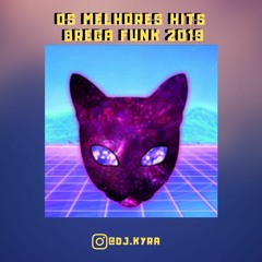 OS MELHORES HITS BREGA FUNK 2019