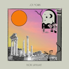 Premiere: Joe Morris - Celestial Plantation (Shades Of Sound Recordings)