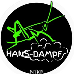 HansDampf @ ZauberWald 2019