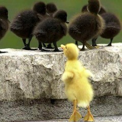 When I Was 10 - Song By The Dank Wizard