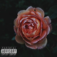 CJViibes - Through The Storm (Feat. Kasiya)