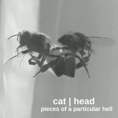 Pieces of a particular Hell _ single released in september 2019