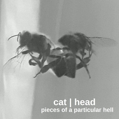 Pieces of a particular Hell _ single released in september 2019