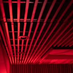 Live from The Pickle Factory