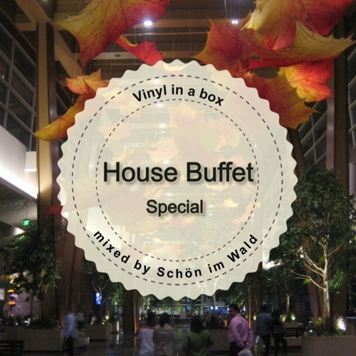 House Buffet Special - Vinyl in a box -- mixed by Schön im Wald