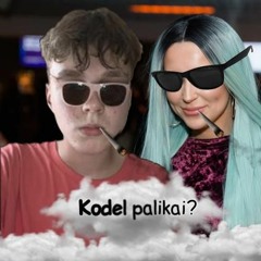 KODEL PALIKAI? prod. arctic