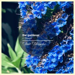The Gardener - In Flower (Original Mix) - Electronica