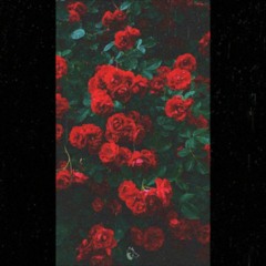 FREE | Russ Type Beat ft. Yelawolf "Maria" | Latin Guitar Beat
