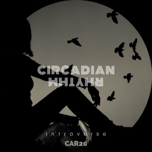 introverse - Circadian Rhythm
