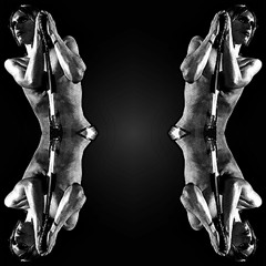 I Wanna Be Your Dog (Cover)