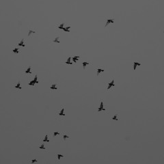 SPTMBR2