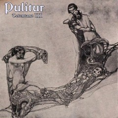 Pulitur - Missä On Kuu (where is the moon)