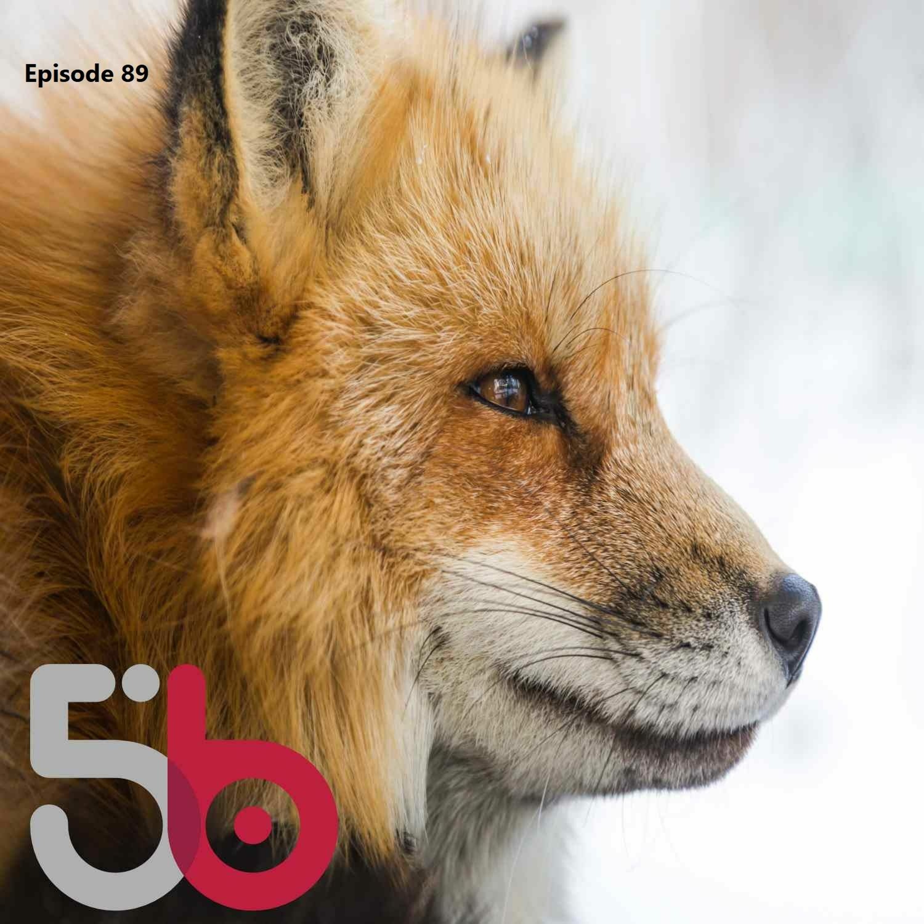 5bytespodcast