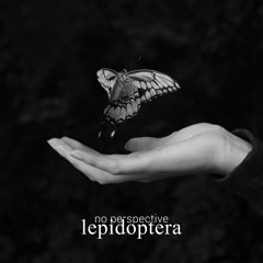 Lepidoptera Mvt.1