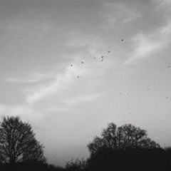 How To Disappear Completely (Radiohead cover) - SomeMud