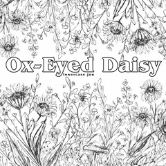 Ox-Eyed Daisy (feat. Lauren)