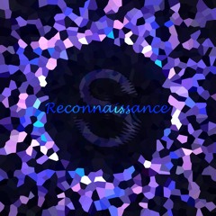 Reconnaissance