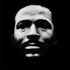 Muwookie & Boogy Wonder - Bootleg - Marvyn Gaye - Just like Music  (download)