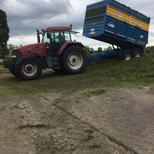 Always green grass on the other side?