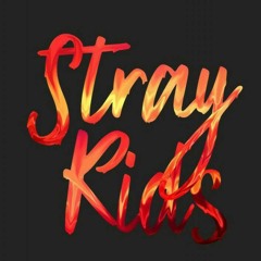 Stray Kids~ Get Cool