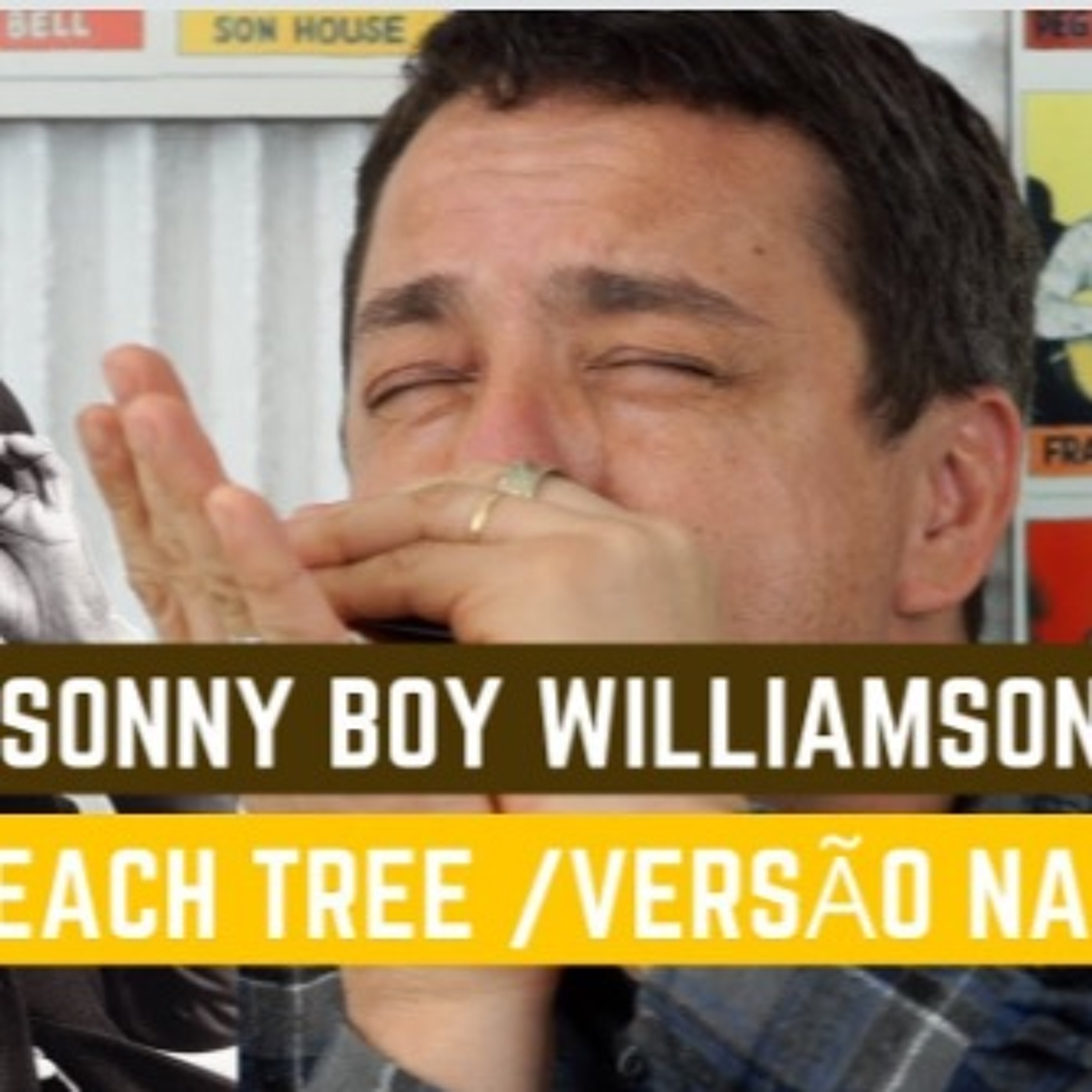 Sonny Boy Williamson's Peach Tree / Versão Naves @ Dicas de Gaita episode artwork