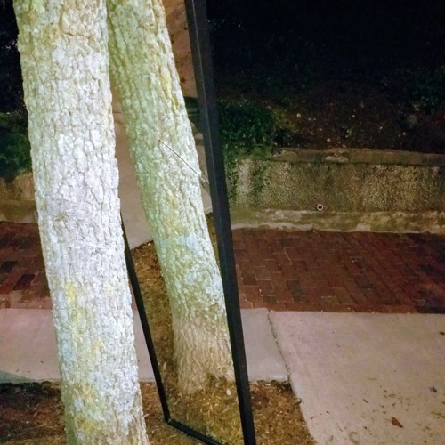 Polarization (CONVERSATIONS EP Single)